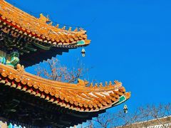 -雍和宫