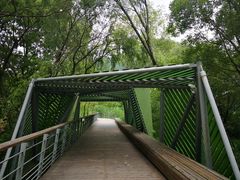 -西湖风景区-江洋畈生态公园