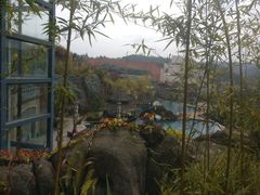 -天芳悦潭度假村温泉