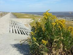 android_upload_pic-南汇嘴观海公园