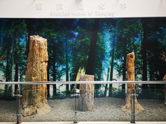 -延庆地质公园博物馆