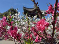 -国家植物园