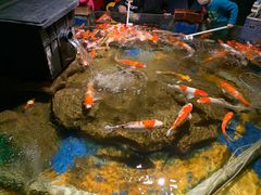 -太平洋海底世界