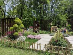 -上海共青森林公园