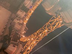 -影汇之星8字形摩天轮