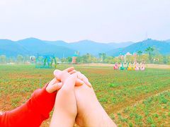 -美的鹭湖森林度假区