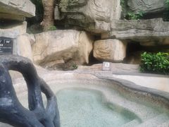 -海口观澜湖火山温泉谷