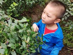 -金谷域澳洲庄园