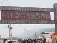 -示范集贸市场