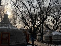 -蒙古大营(朝阳公园店)