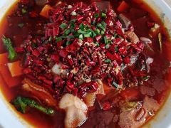毛血旺-百年家风·老馆子(东风店)
