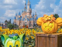 -上海迪士尼度假区