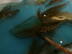 -恒盛居回族饭店