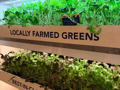 -新加坡乌节希尔顿酒店 (SG Clean)