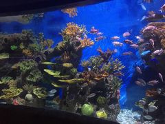 -多彩贵州城极地海洋世界