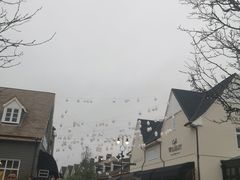 -伦敦比斯特购物村