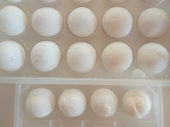 元宵-大桥道糕点食品店(津塘路店)