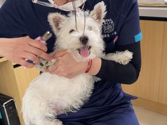 -美联众合动物医院·24h京西诊疗中心