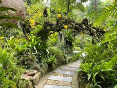 -深圳仙湖植物园
