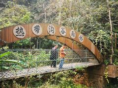 -西双版纳原始森林公园
