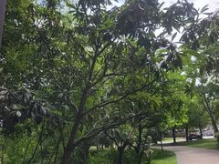 -同里国家湿地公园