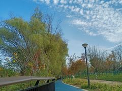 -西溪国家湿地公园