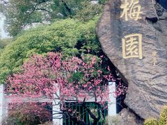 -无锡梅园公园