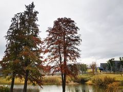 -东钱湖旅游度假区