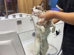 -FAELING PETS美天灵宠物(富力广场店)