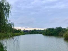 -白鹭湾湿地公园