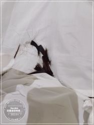 点击看大图 -Garden花園造型