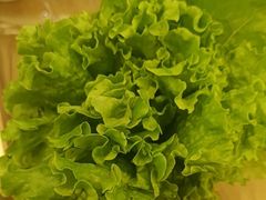 -九田家黑牛烤肉料理(衡百国际店)