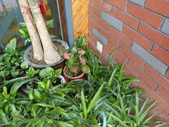 -湘当爱·鲜煮现炒(松岗立业路店)