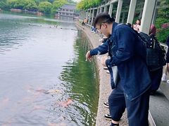 -西湖外事游船(花港观鱼码头)