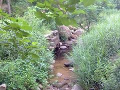 -鲁山国家森林公园