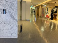 -乐天免税店(明洞店)