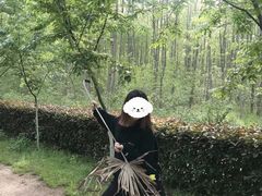 -合肥滨湖国家森林公园