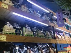 -龟与熊猫宠物公园(南坪店)