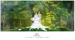 点击看大图 -金夫人婚纱摄影