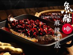 -鱼酷活鱼烤鱼(沈阳大悦城店)