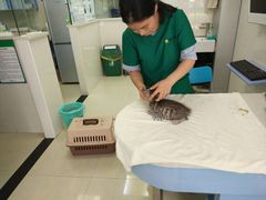 -瑞鹏·疫苗·绝育·宠物医院(金沙洲店)