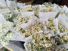 -循礼门鲜花花市(武汉循礼门店)