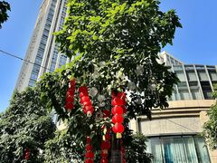 -中骏世界城(泉州店)