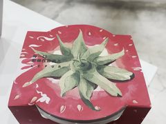 -乐纯(苹果社区店)