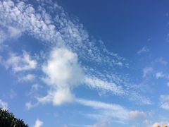-华府海鲜碳烤自助(万达店)