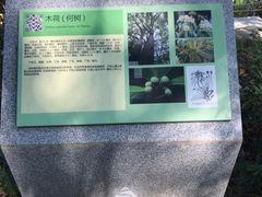 -火炉山森林公园