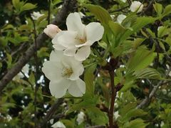 -江南大学(蠡湖校区)