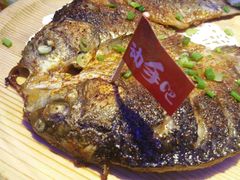 -蛙来哒(湖州东吴银泰百货店)