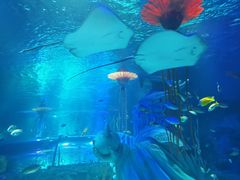 -沈阳海洋探索中心