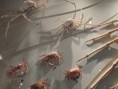 -中国湿地博物馆